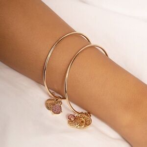 3/$30 💛 2pc Charm Bangle Bracelet
